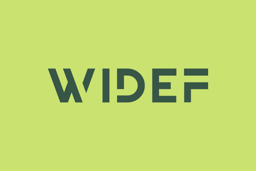 WiDEF logo